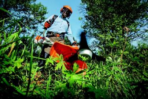 greenery maintainer